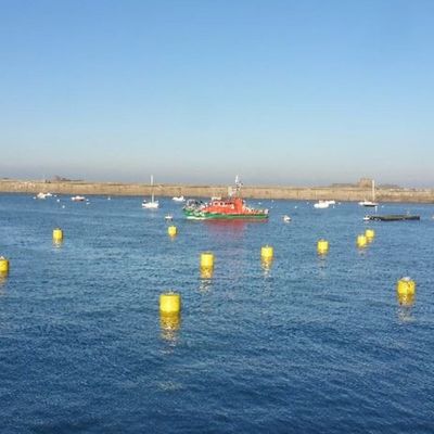 प्लास्टिक सुरक्षित उच्च Buoyancy समुद्री फ्लोटिंग पीला फ्लोटिंग Buoy